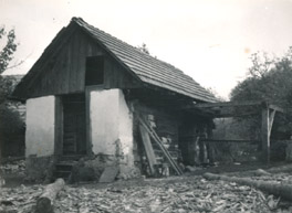 eika image